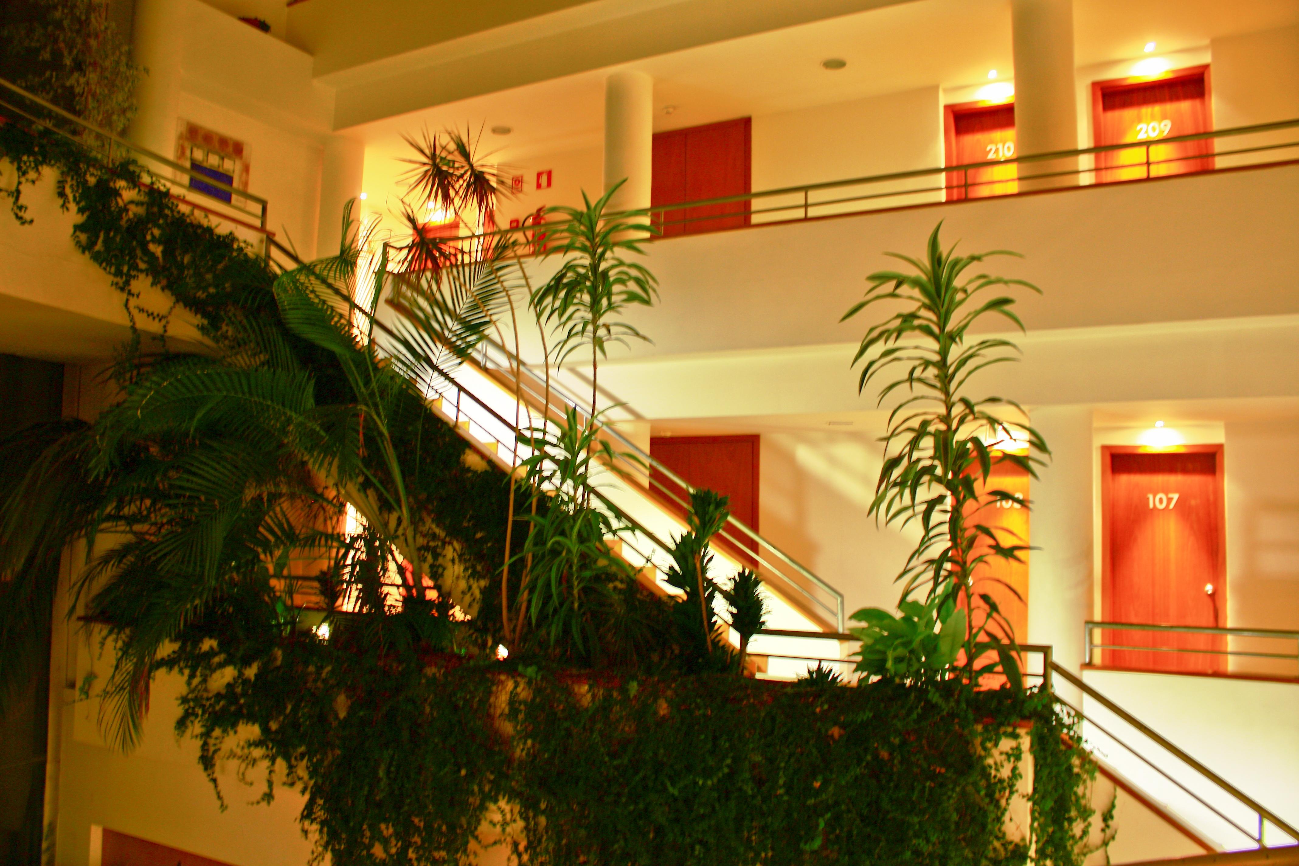 Hotel das Taipas Guimarães Exterior foto